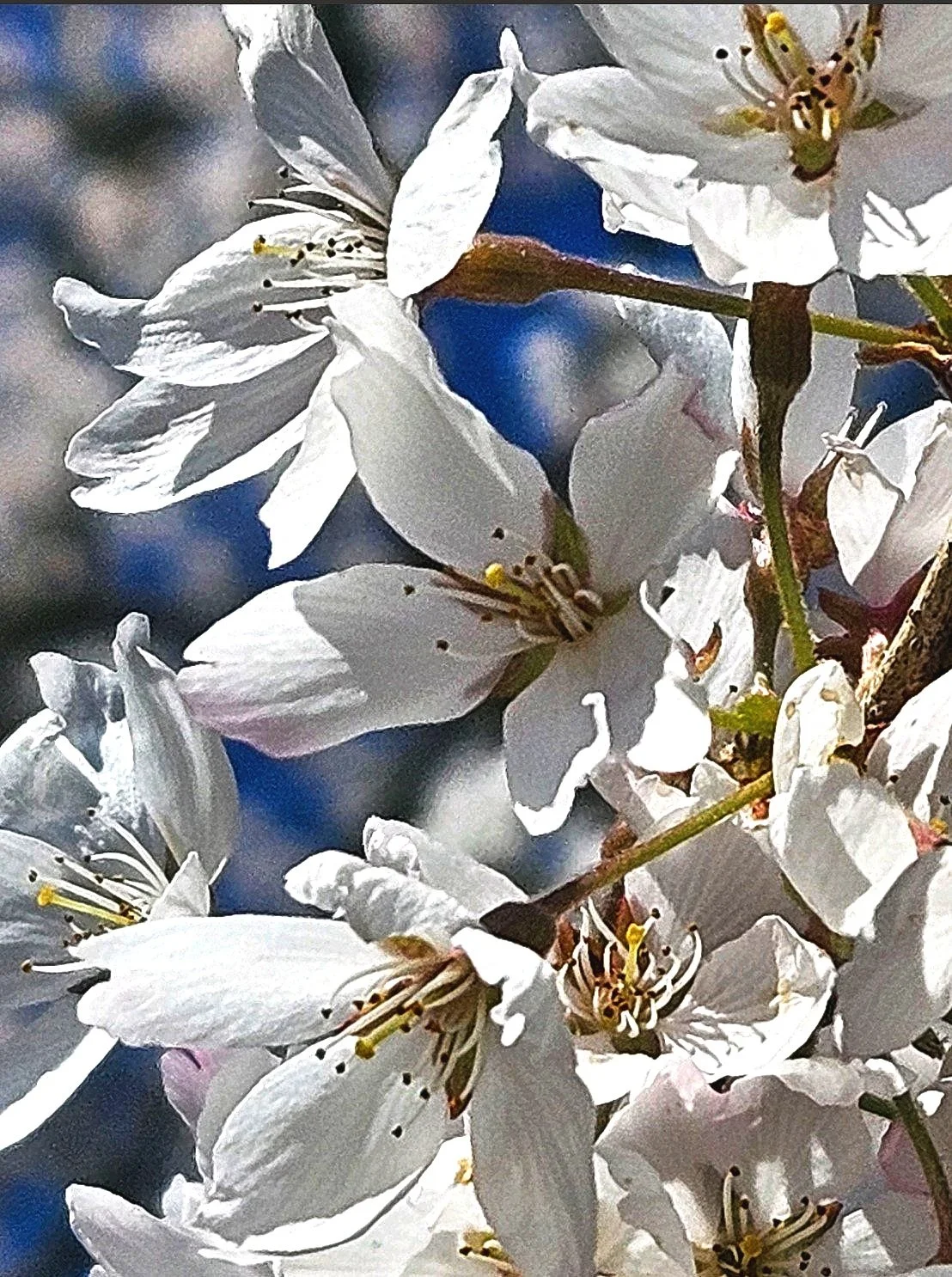 Burst of Spring & Creativity