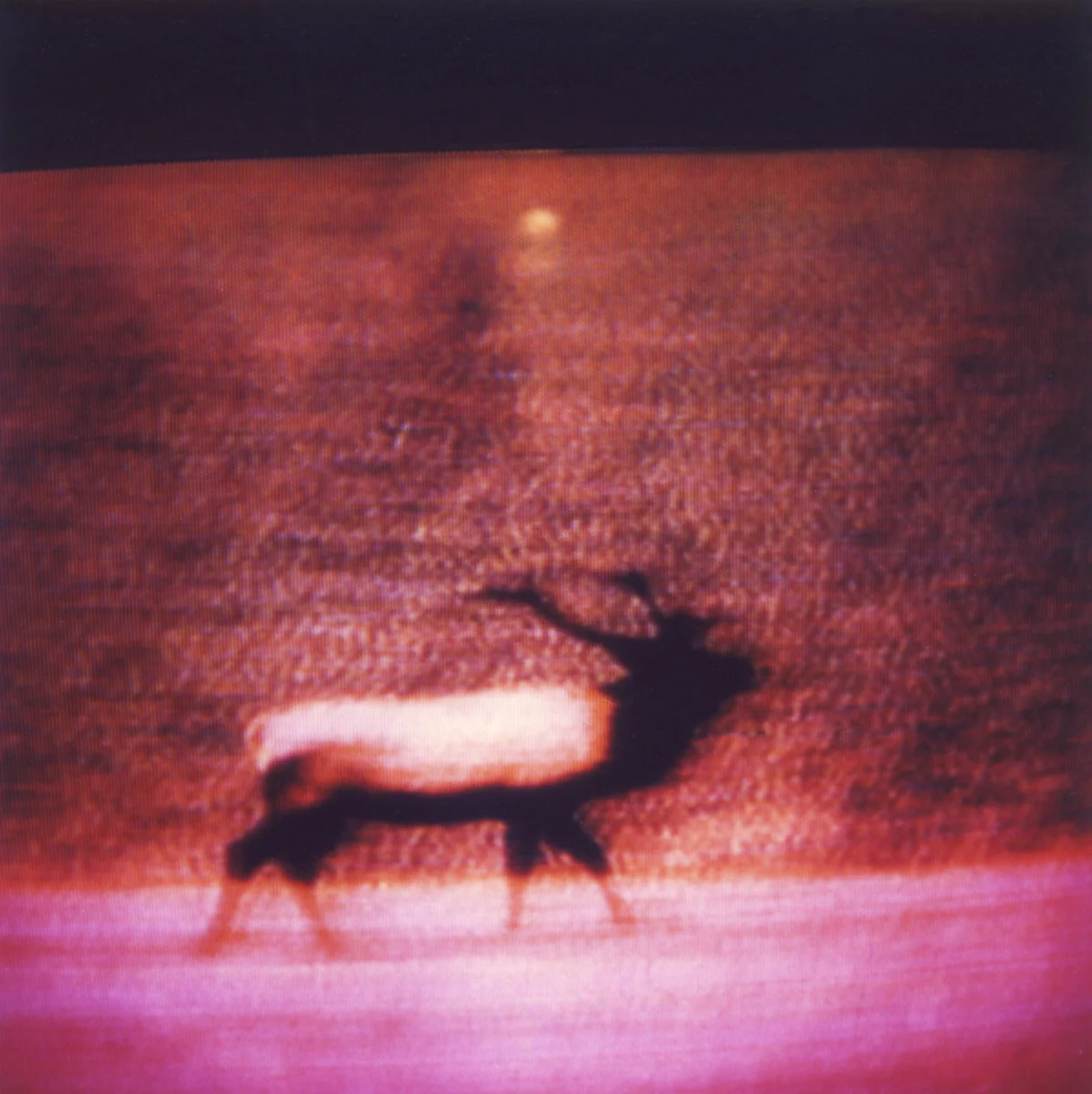 Television-TV-Polaroid-SX70-Elk-Surreal.jpg