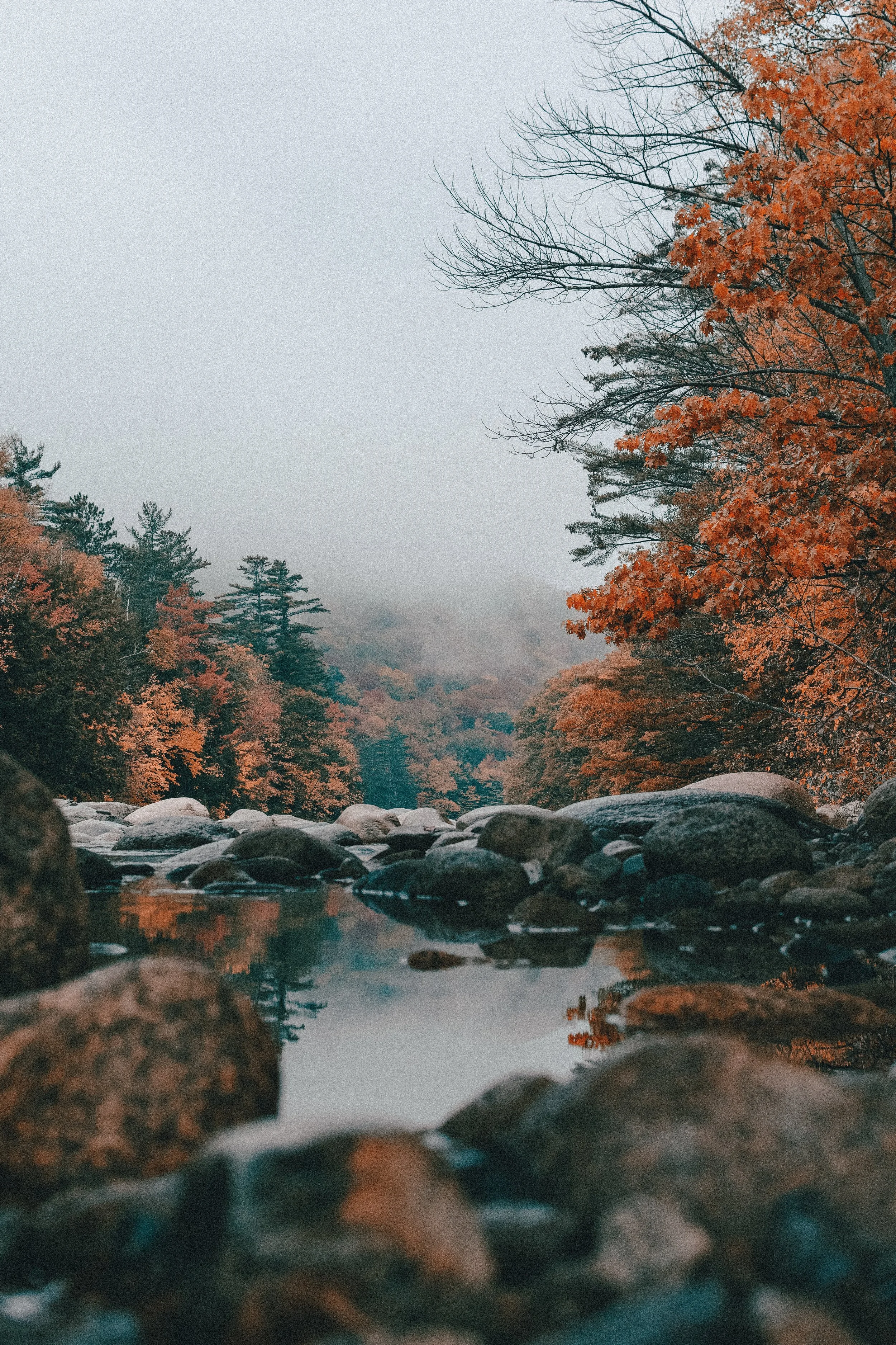 Fall Issue 2