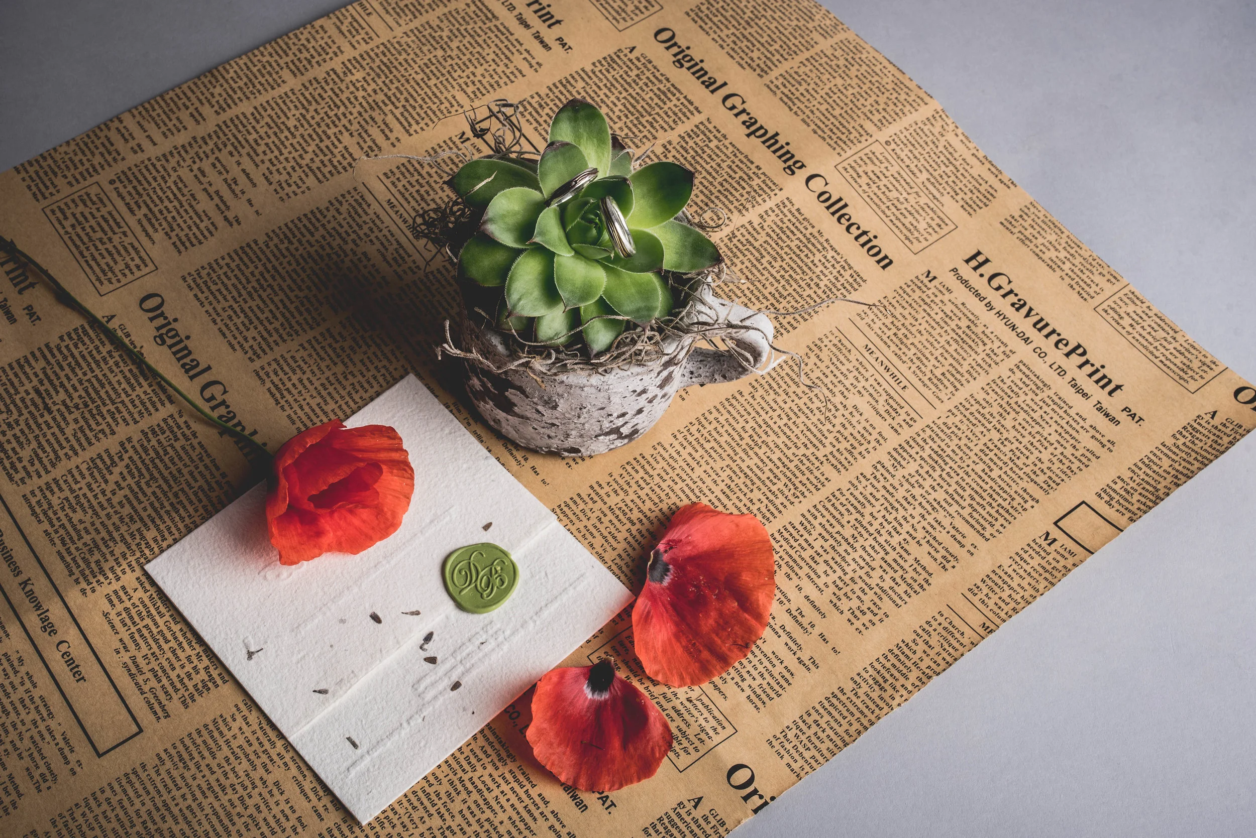 Winter Issue 5