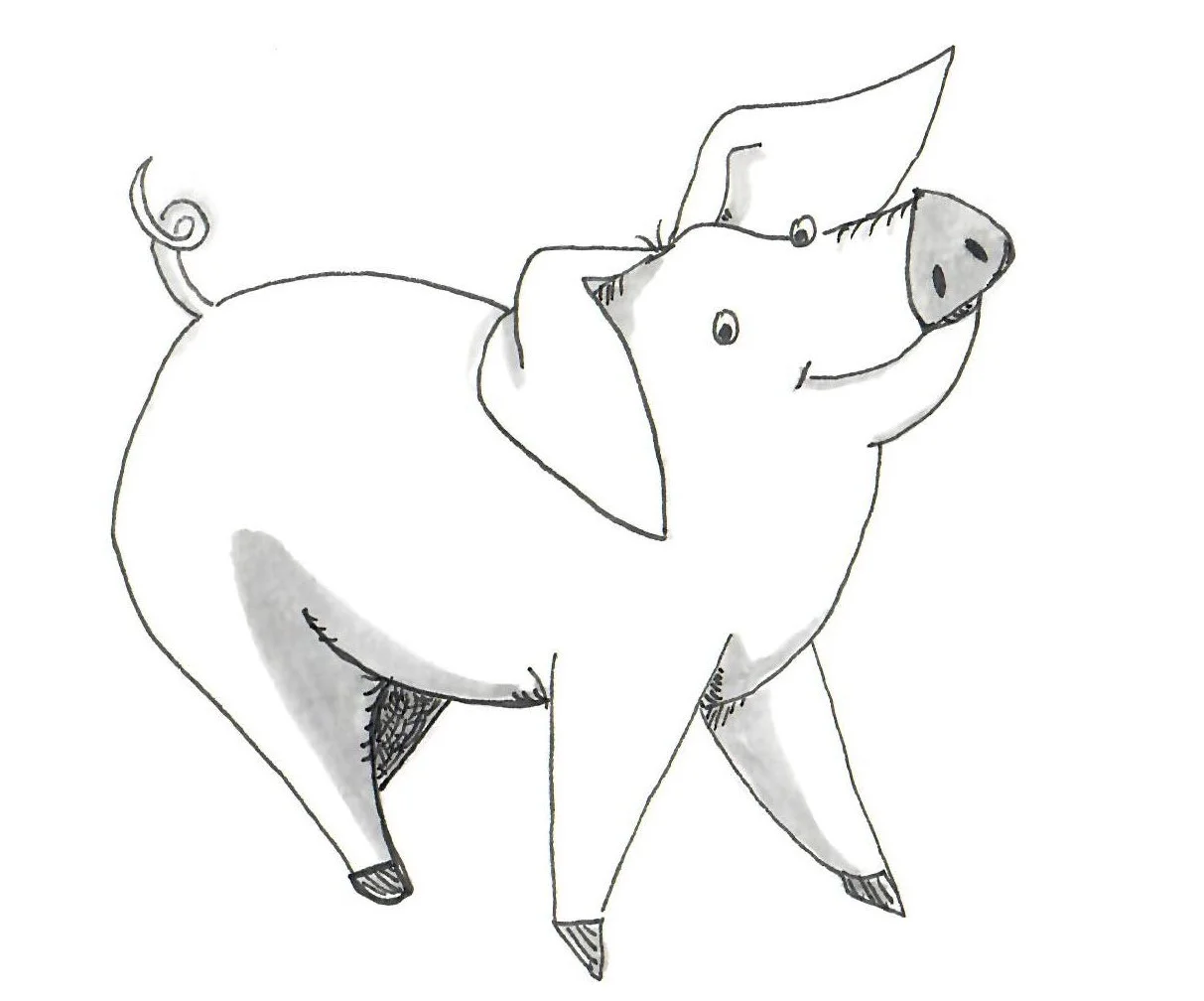 Pig sketch edited.jpg