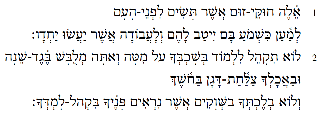 4QZoom_HebrewText.png