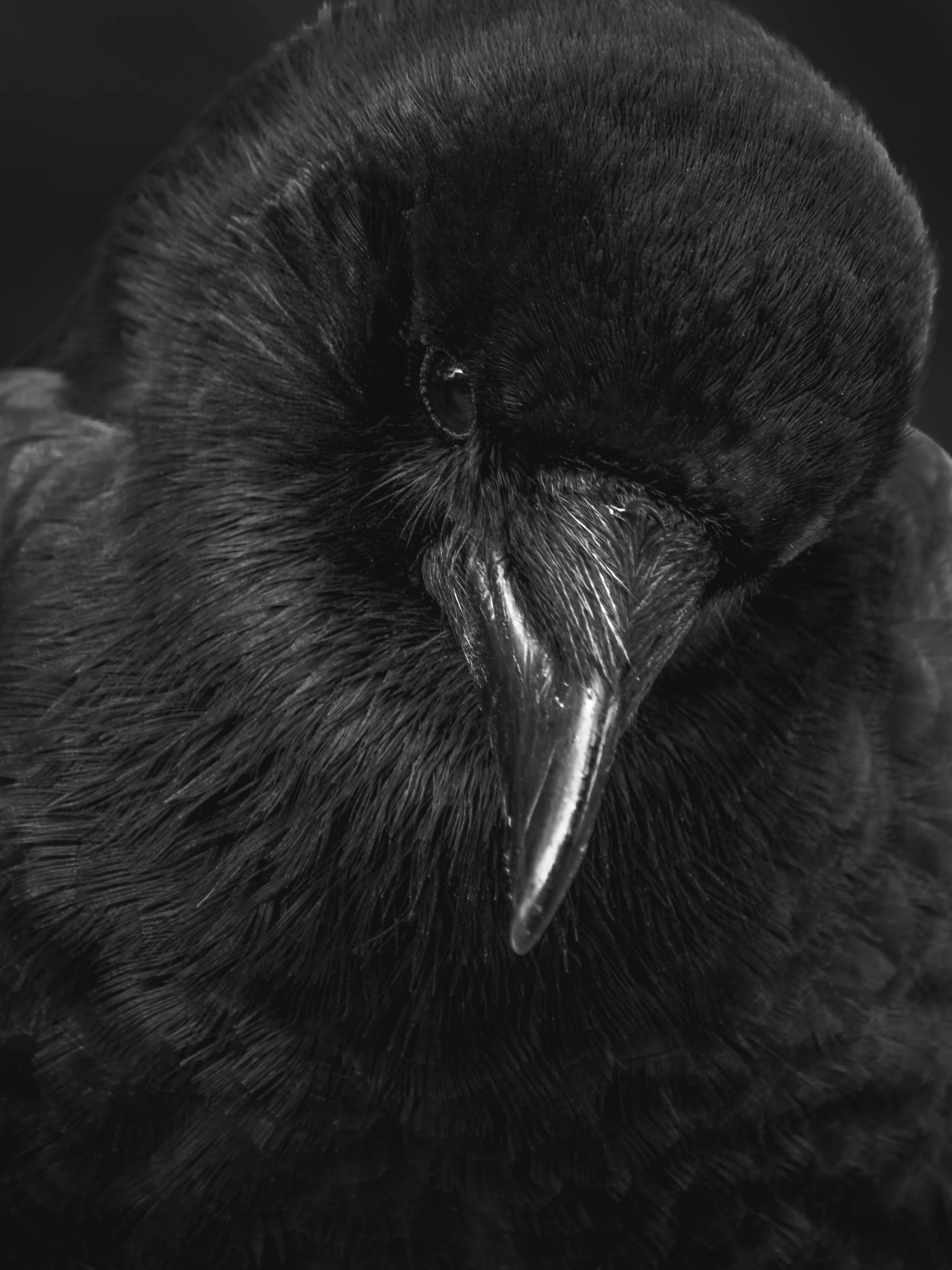 “Crow”Ben Nelson