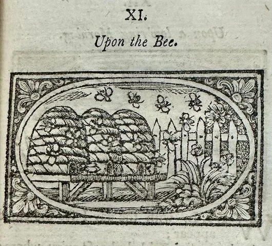Bees.jpeg