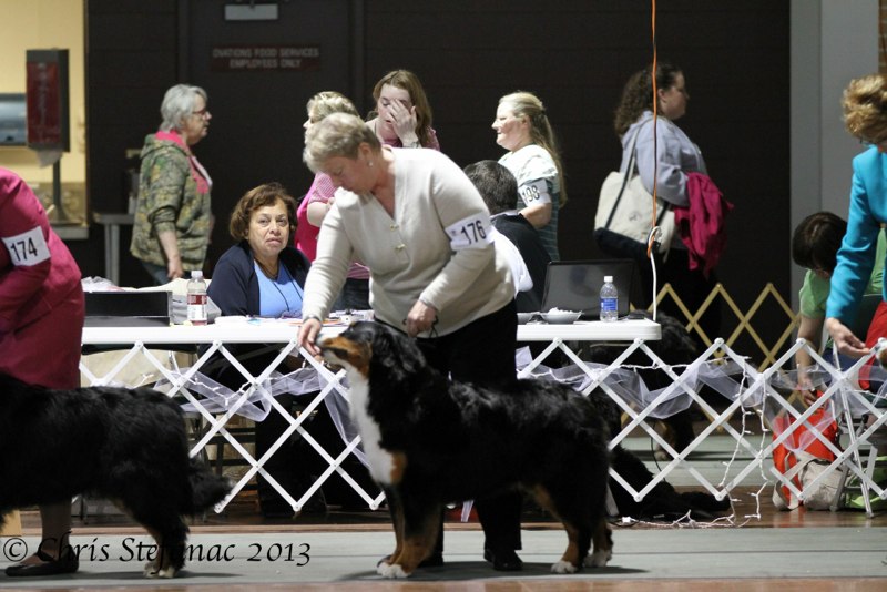 Carson in Bred By at the 2013 Nationals in Loveland, CO.