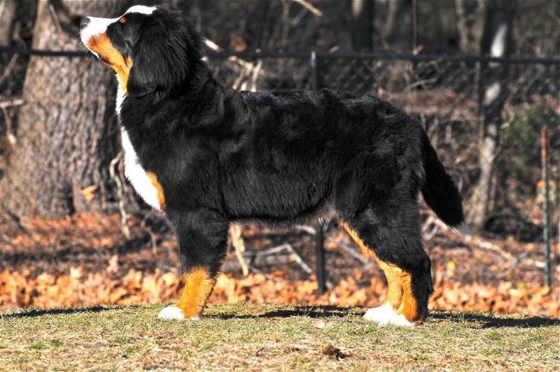 Carson 5 mos.