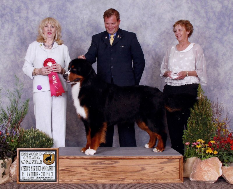Wesley -National Specialty Regular Classes5-18 mos- 2nd place! Thank you Helen Davenport Willis and Kevin Bednar!