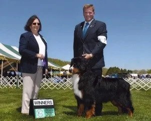 Bucks County - Winners Dog