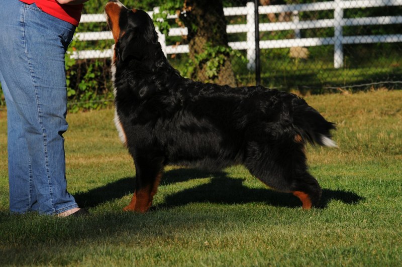 Wes 7 mos.