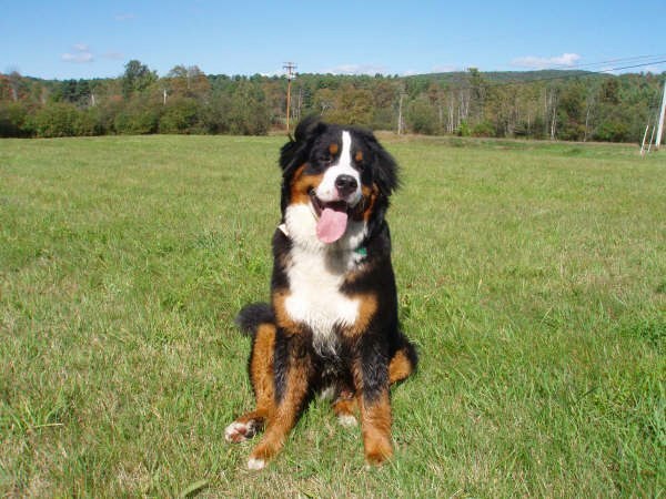 Ullr 11 yrs.