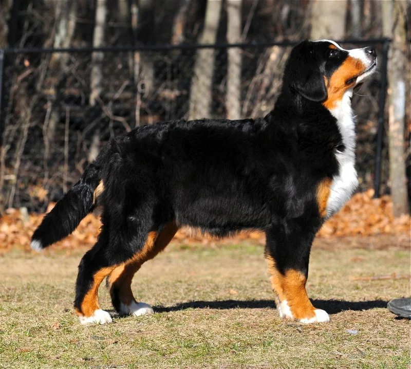 carson5mos..jpg