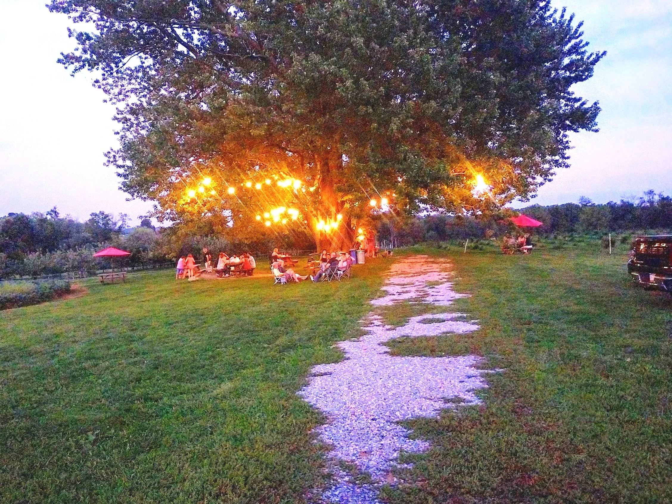 Bluegrass Jam Session!  