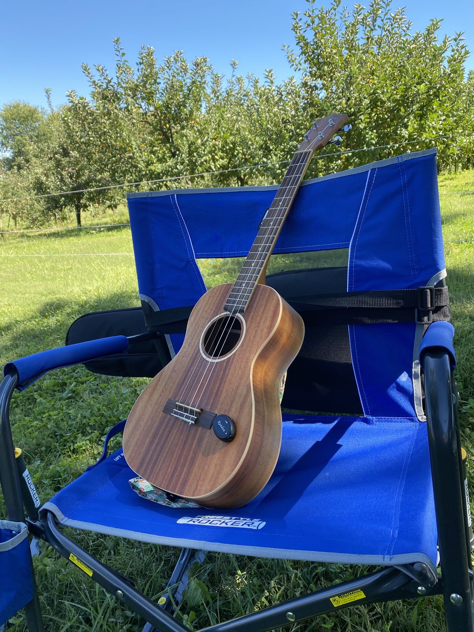 Newark Ukesters Strum 