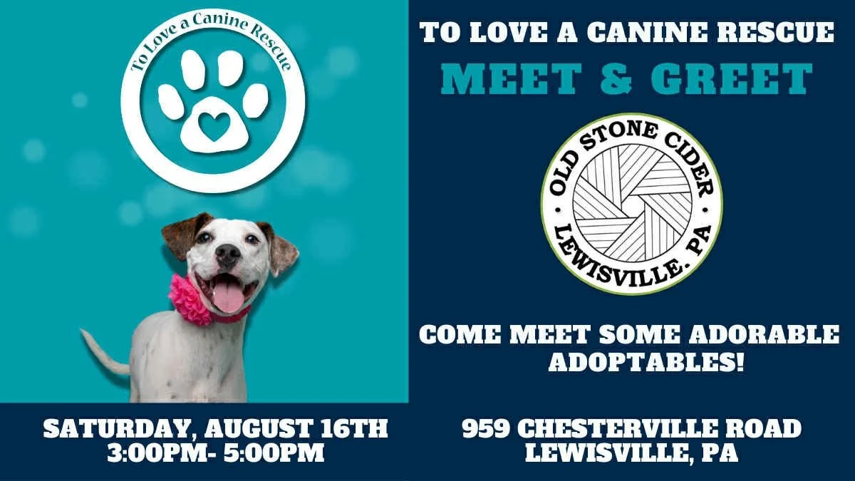 Dog Days of Summer meet and greet!
