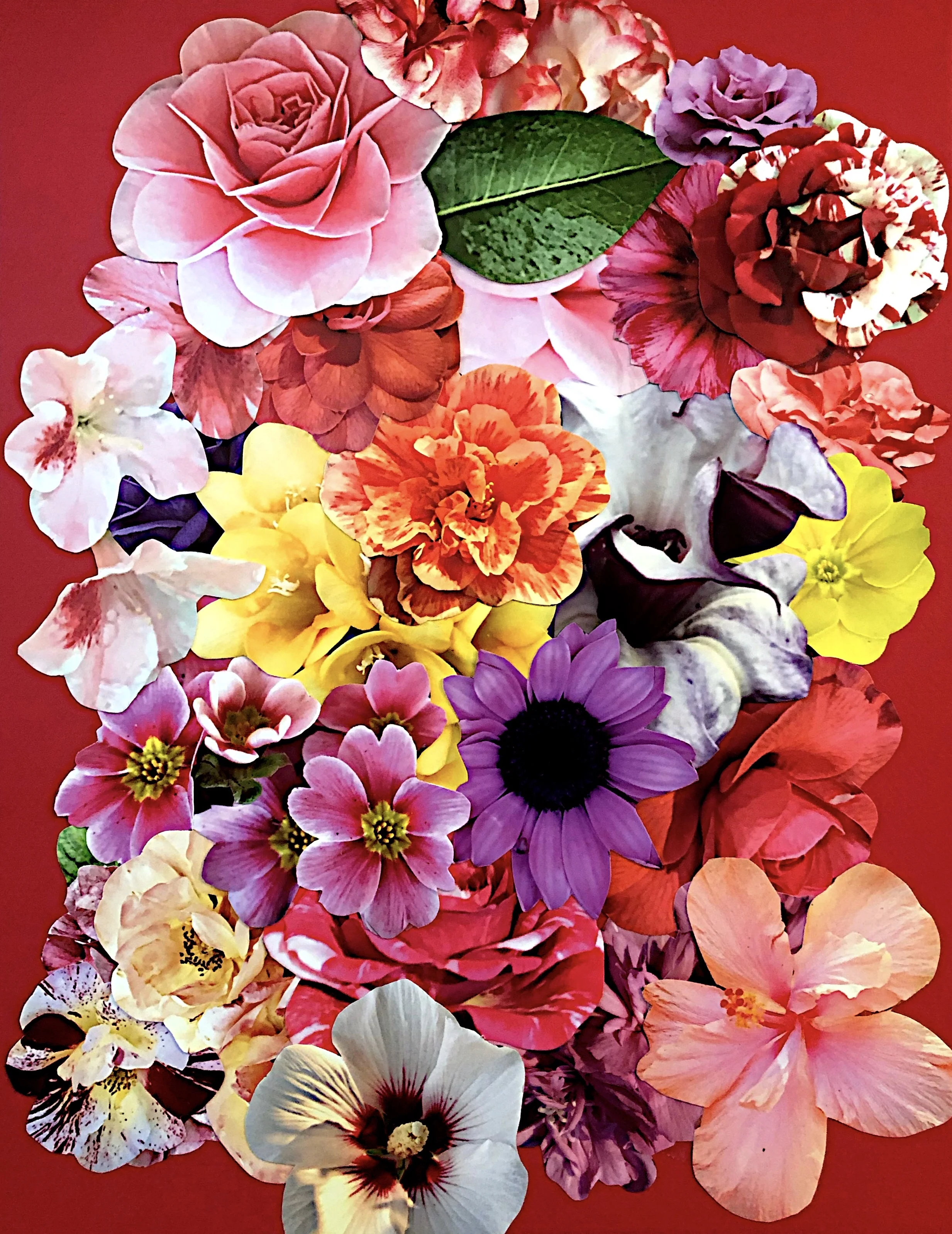 Interview with Kat Kleinman