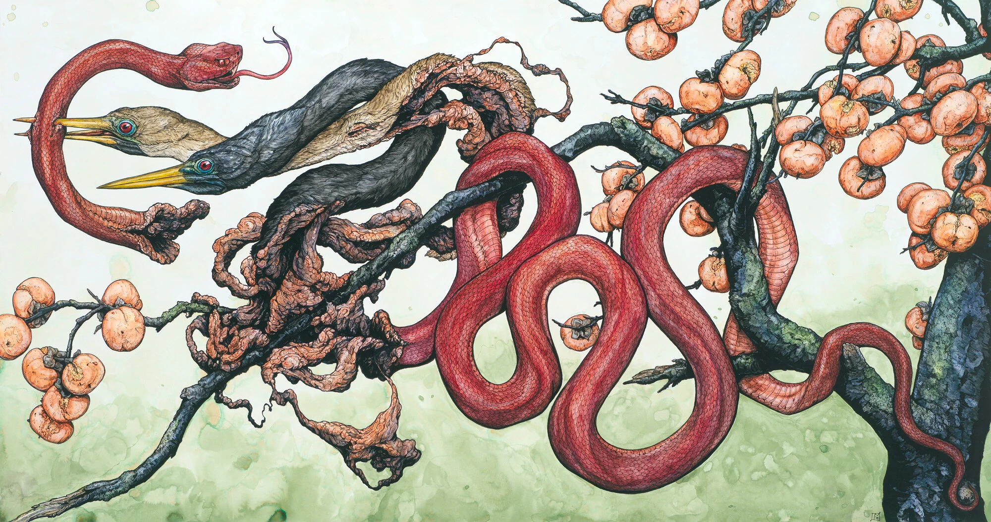 snake-2.jpg