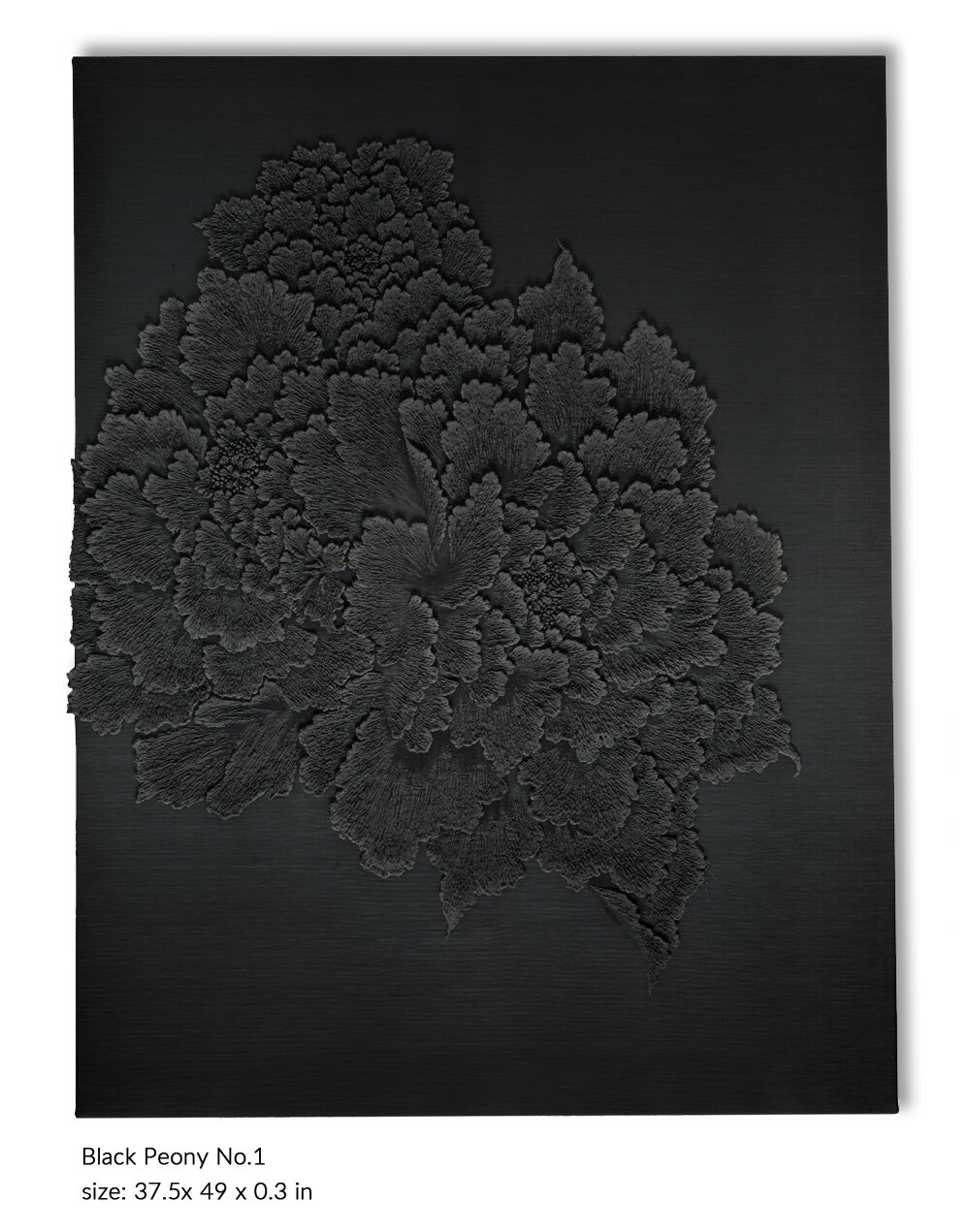 black peony no.1.JPG