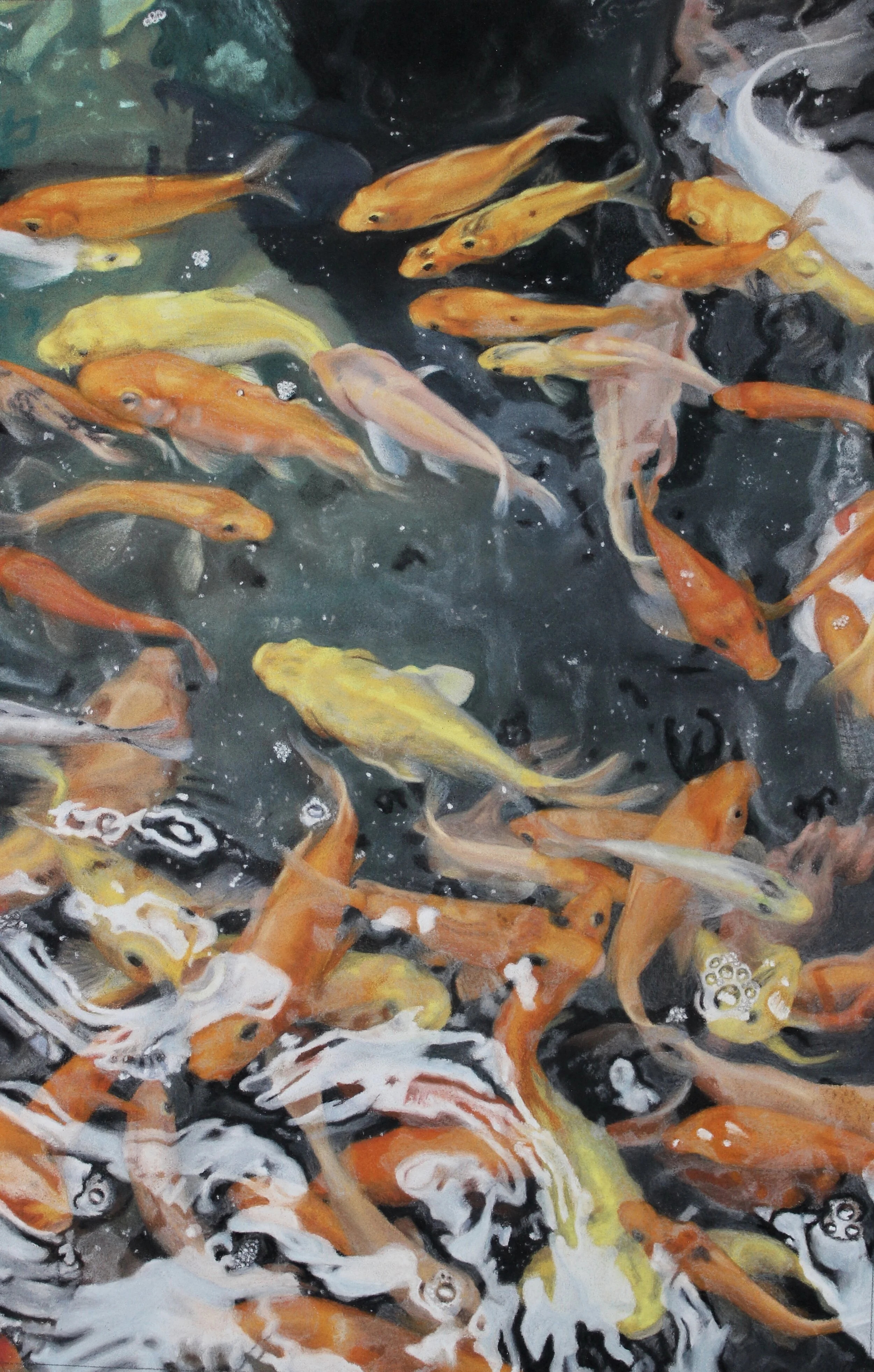 Interview with Briar Tucker