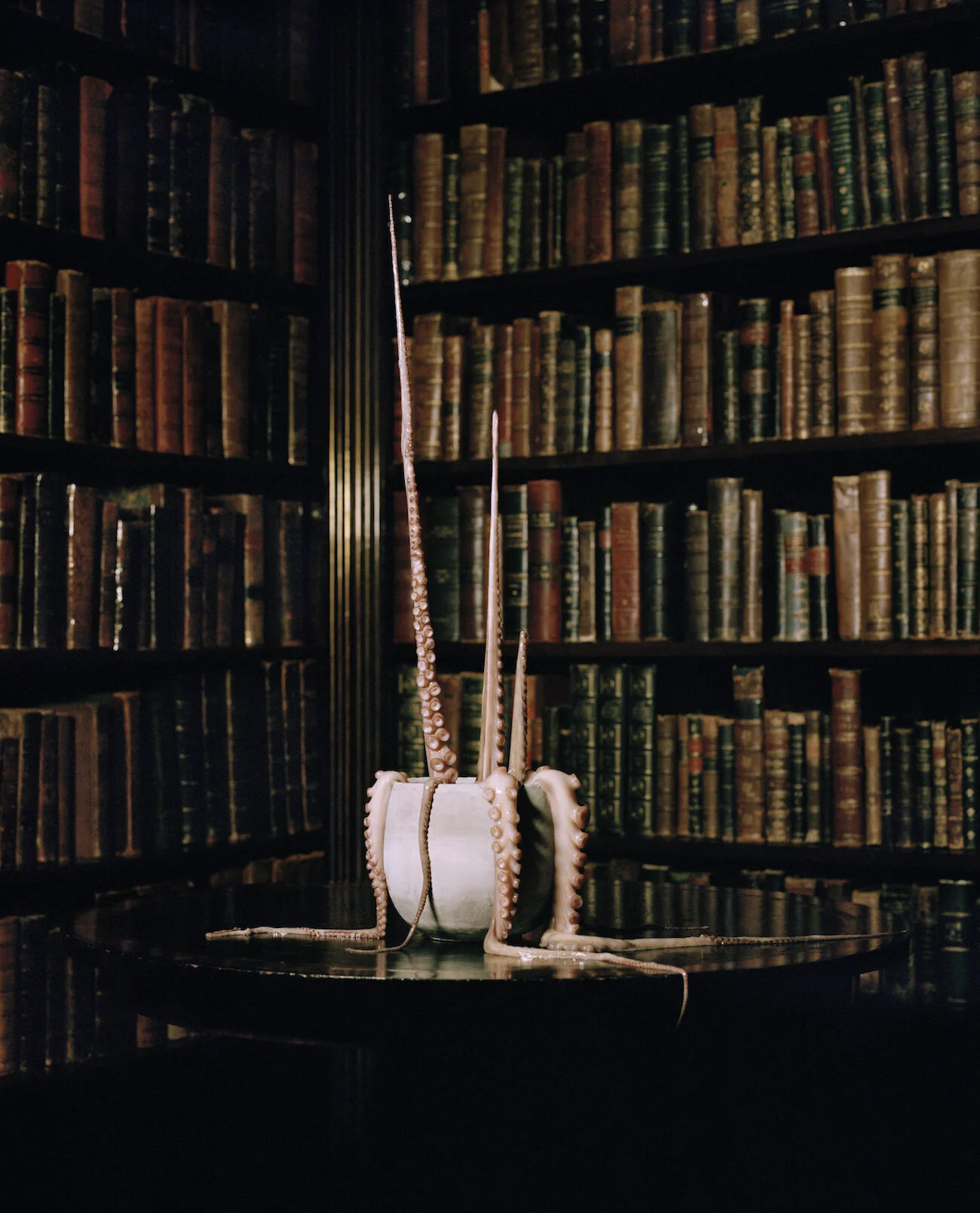 lostinmetamorphoses reven04.jpg
