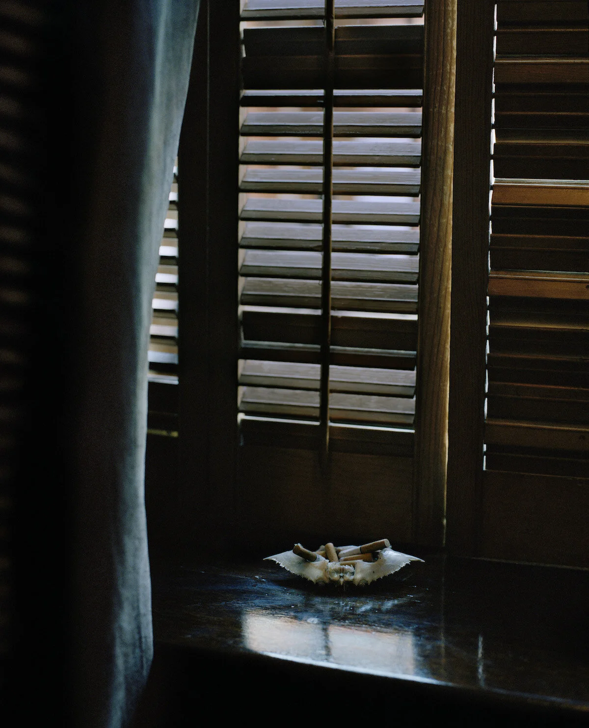 lostinmetamorphoses reven08.jpg