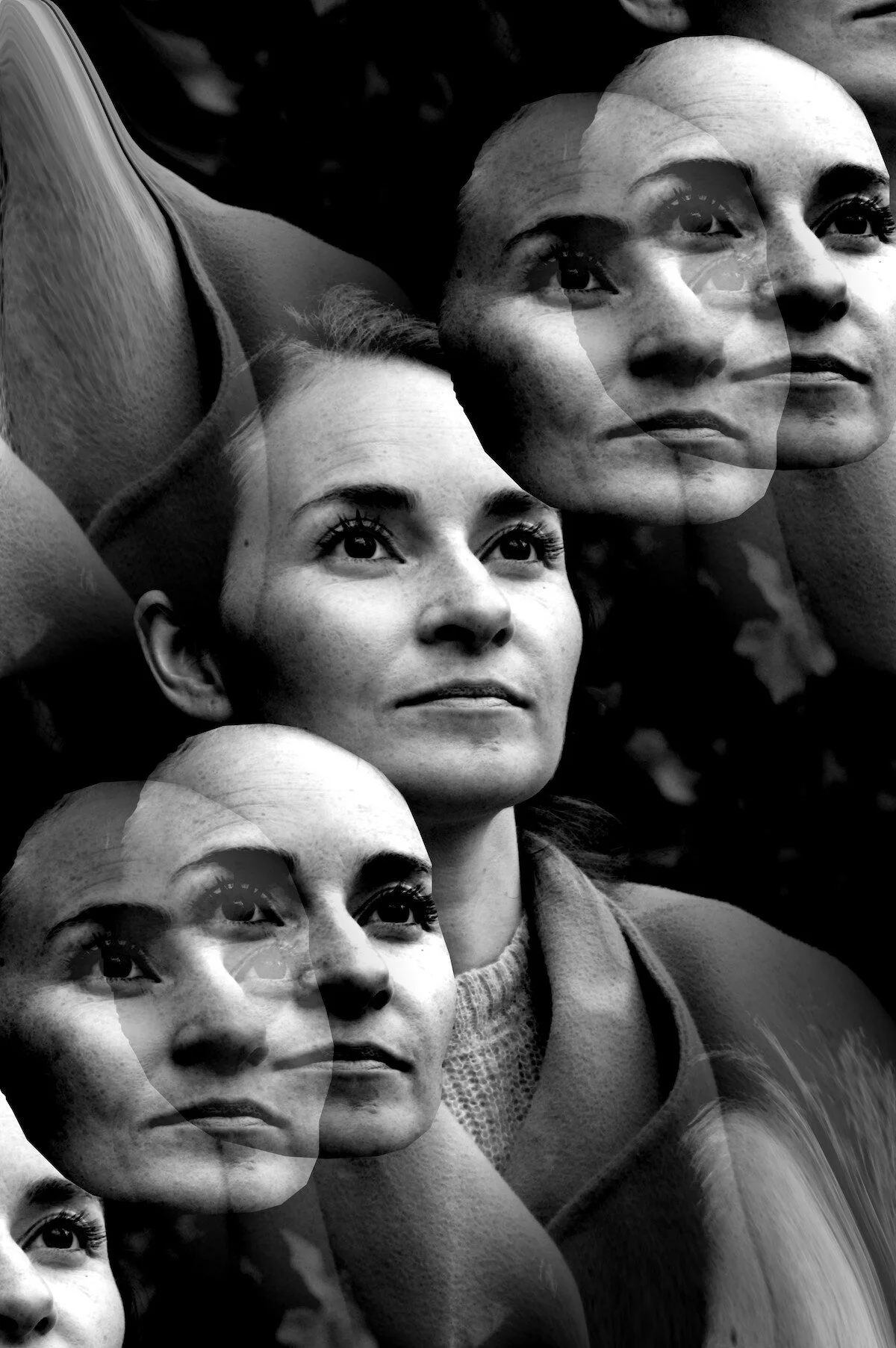Katrin Loy