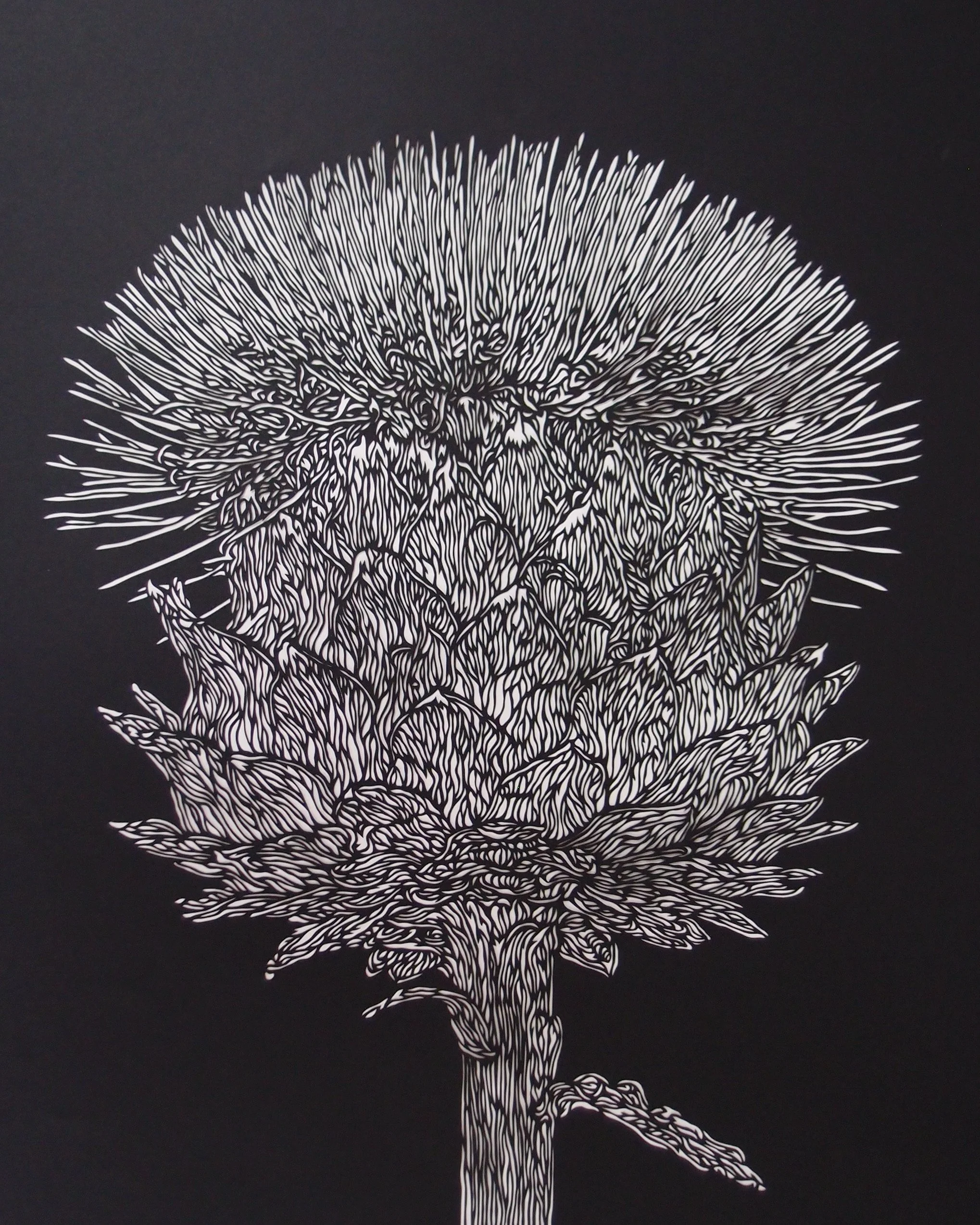 Interview with KIYORA