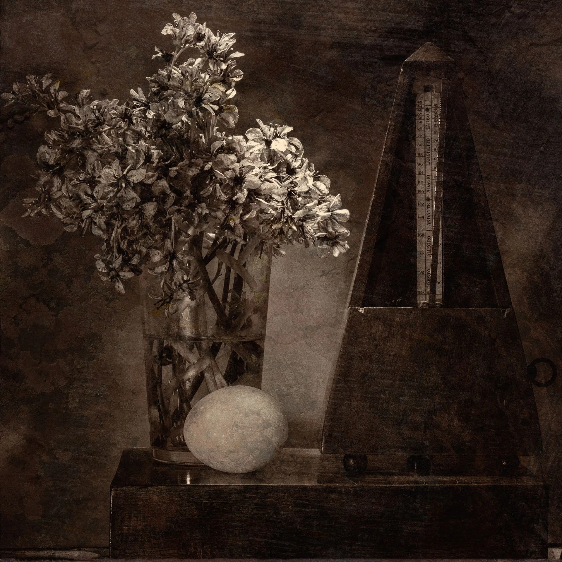 Interview with Giovanni Maria Sacco