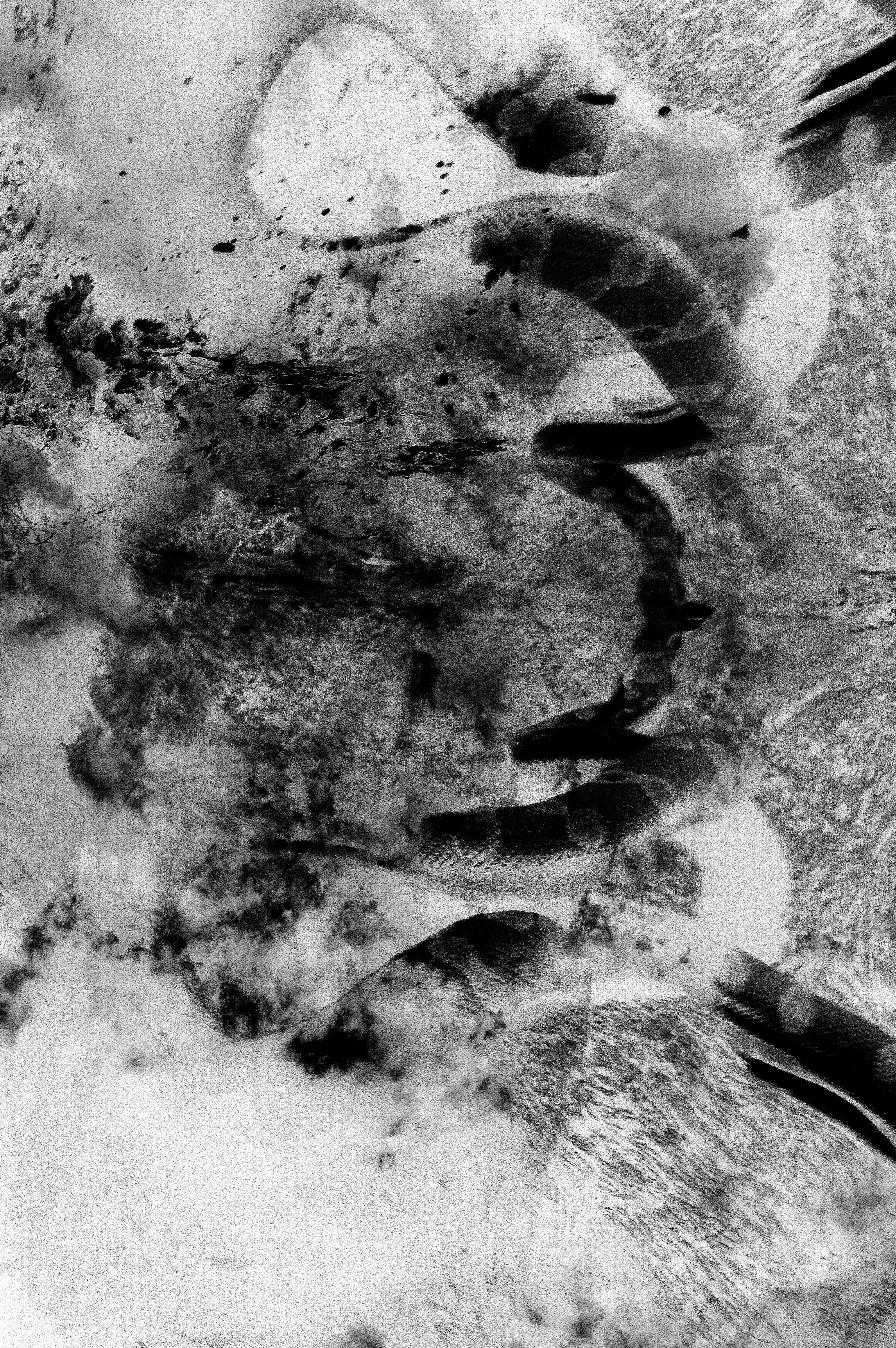 Interview with Katrin Loy