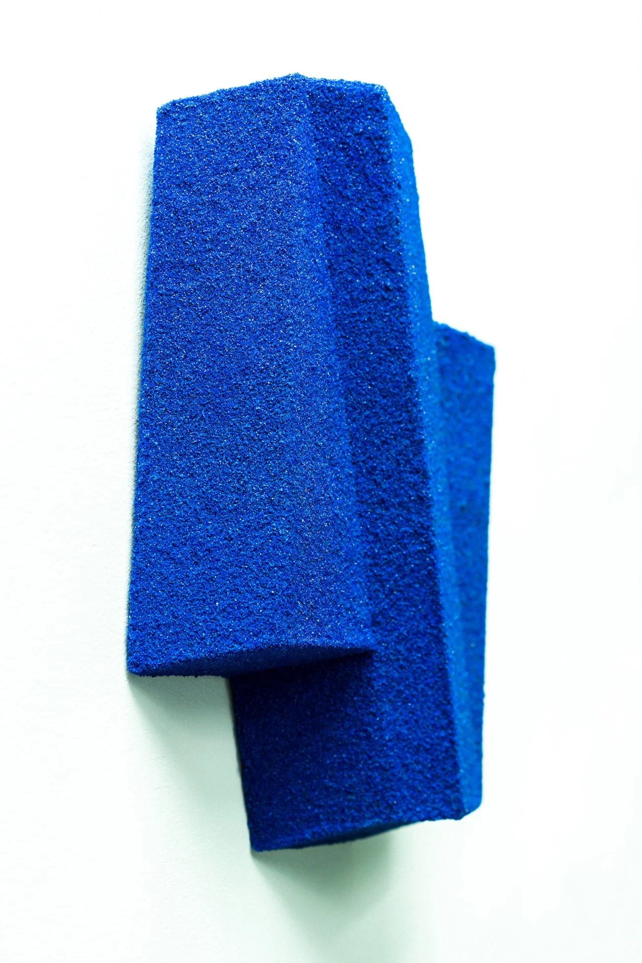 Interview with Elena Shuppo