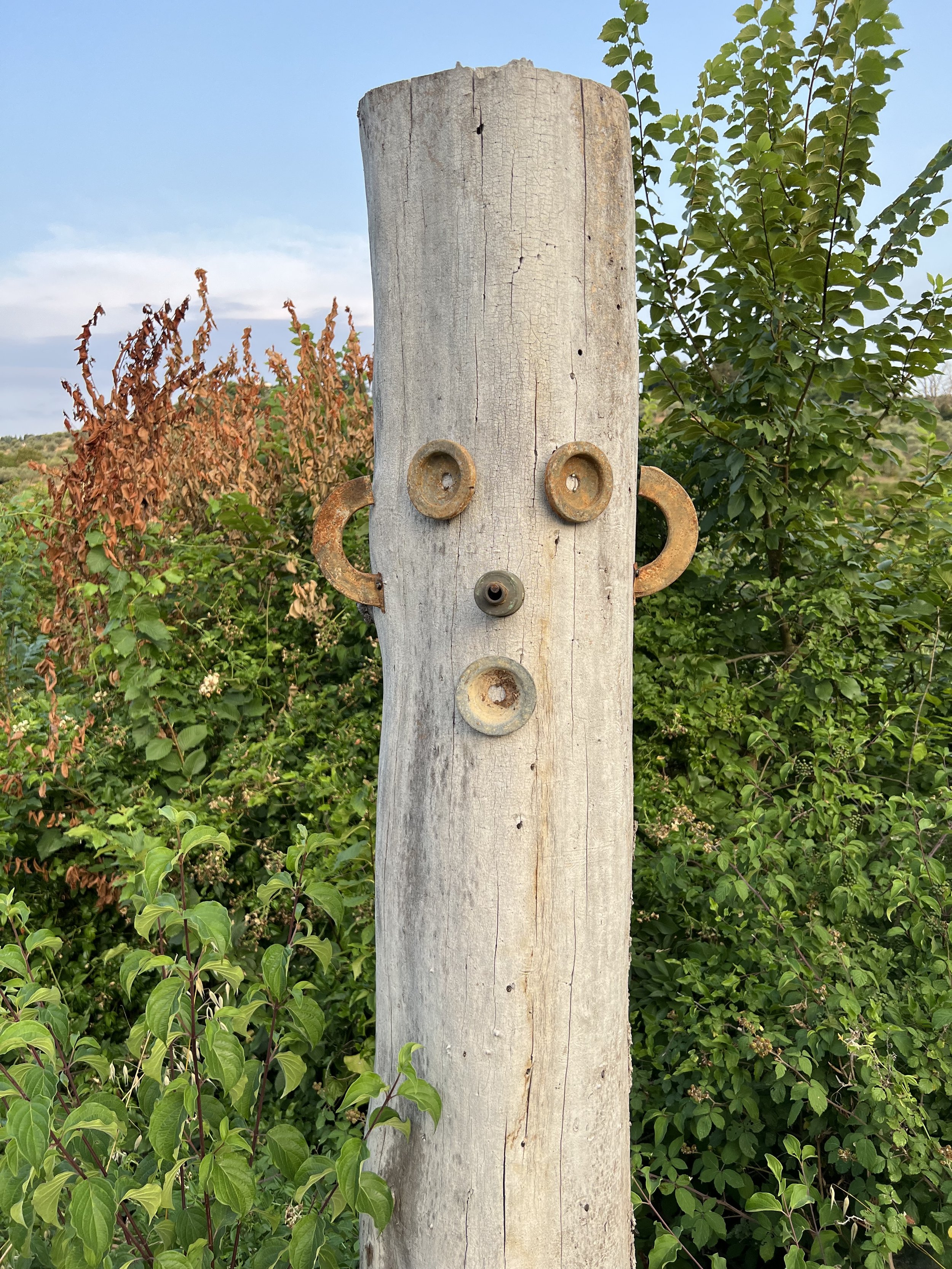 Artist Spotlight - Alessandro Vergari