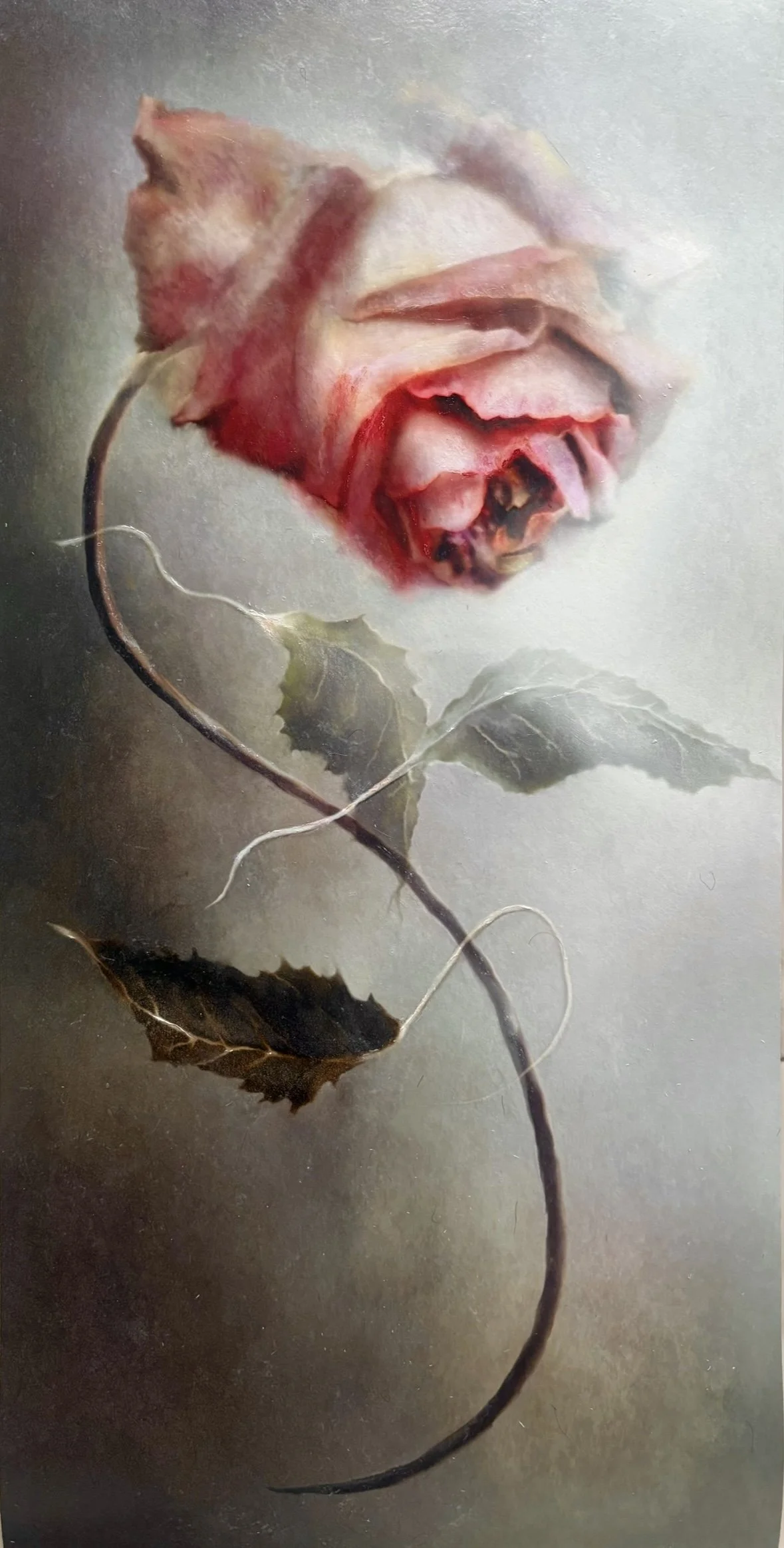 Interview with Miyoko Kamimoto