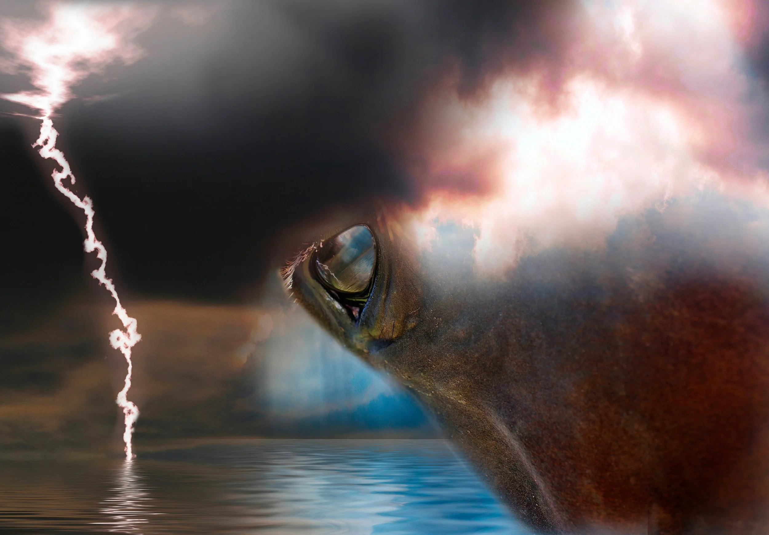 Artist Spotlight - Leo Gesess