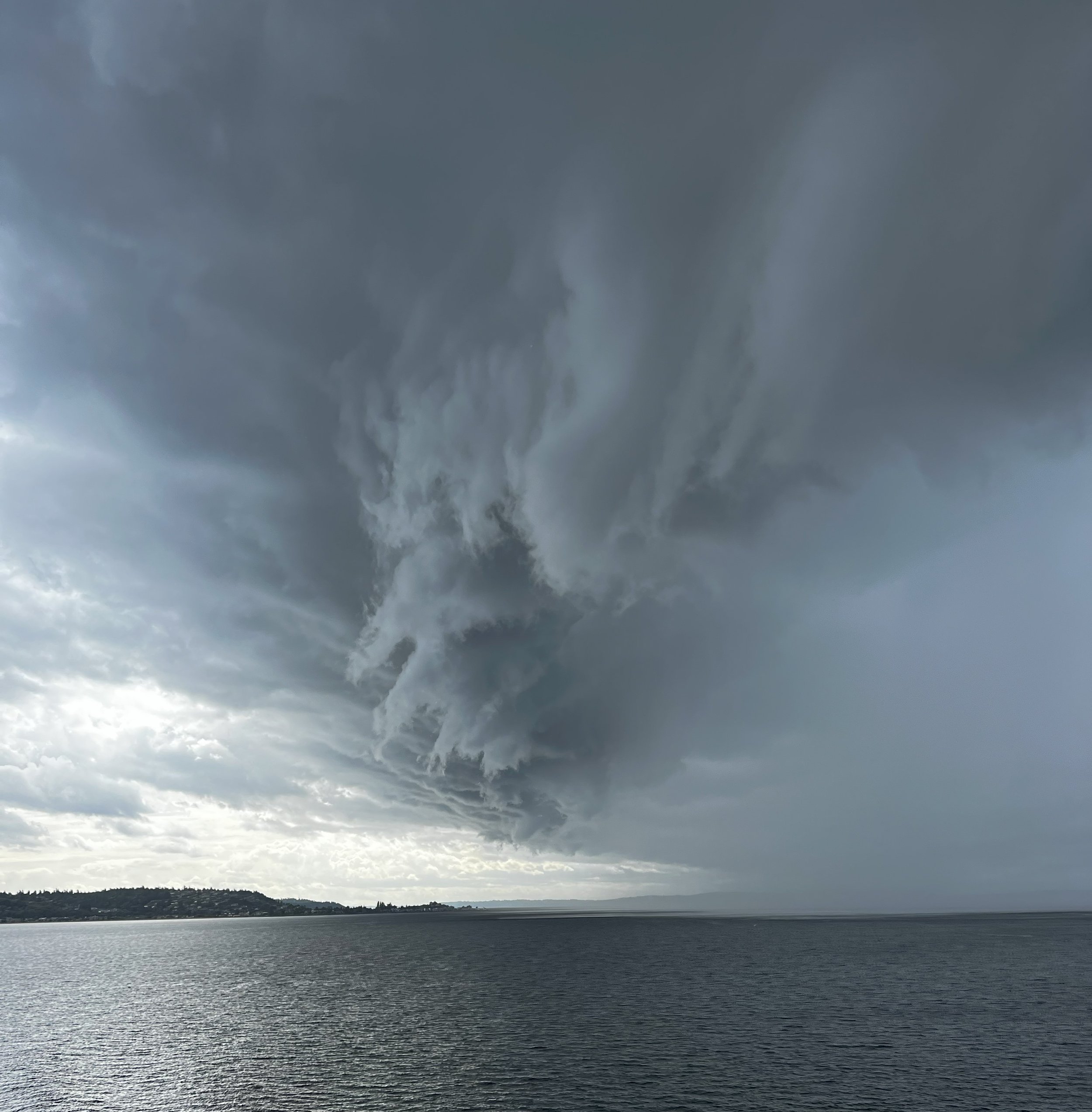 Artist Spotlight - Matthew Elliott