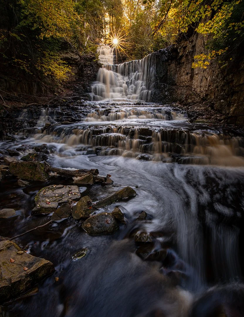 Interview with Björn Carlsson