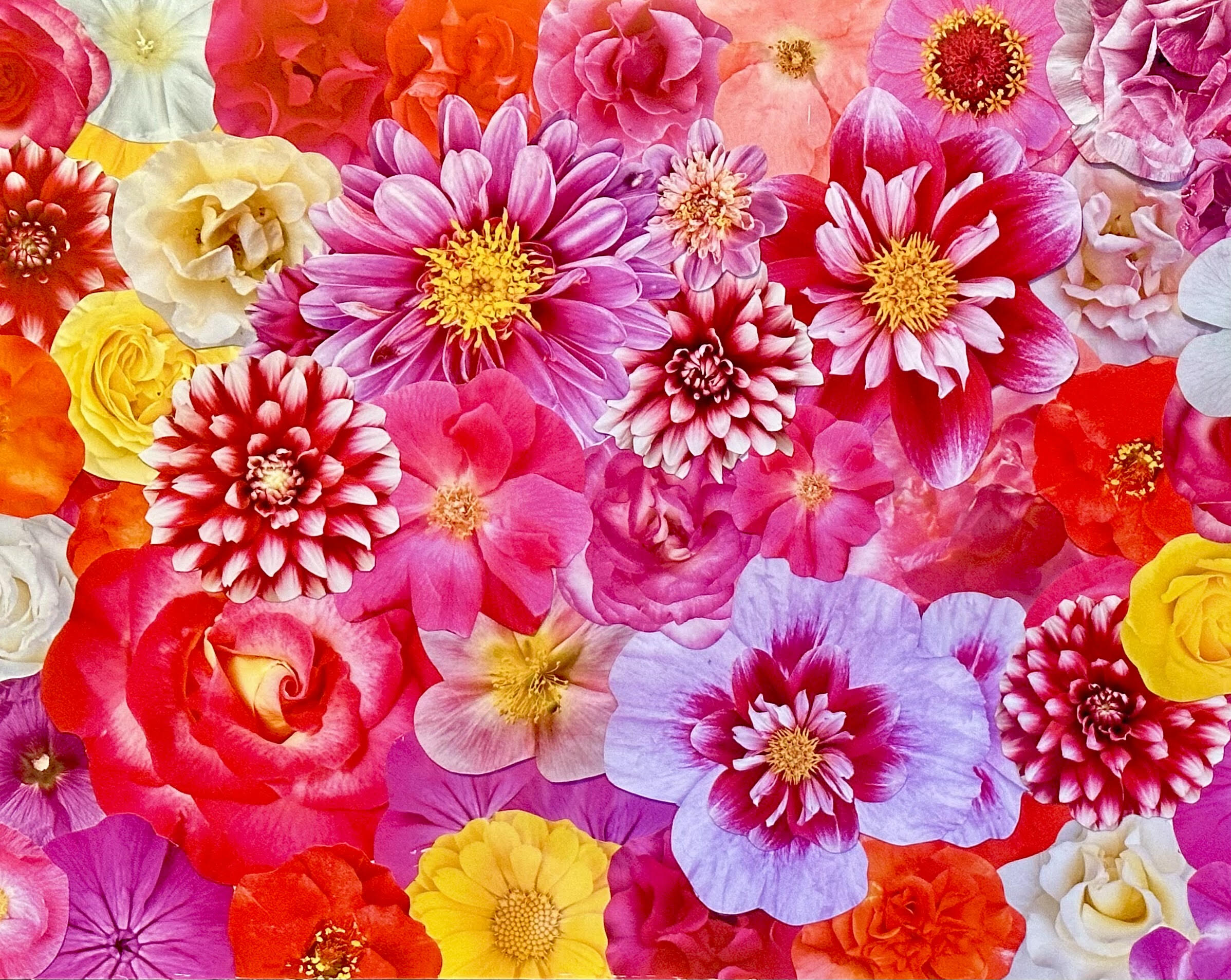 Interview with Kat Kleinman