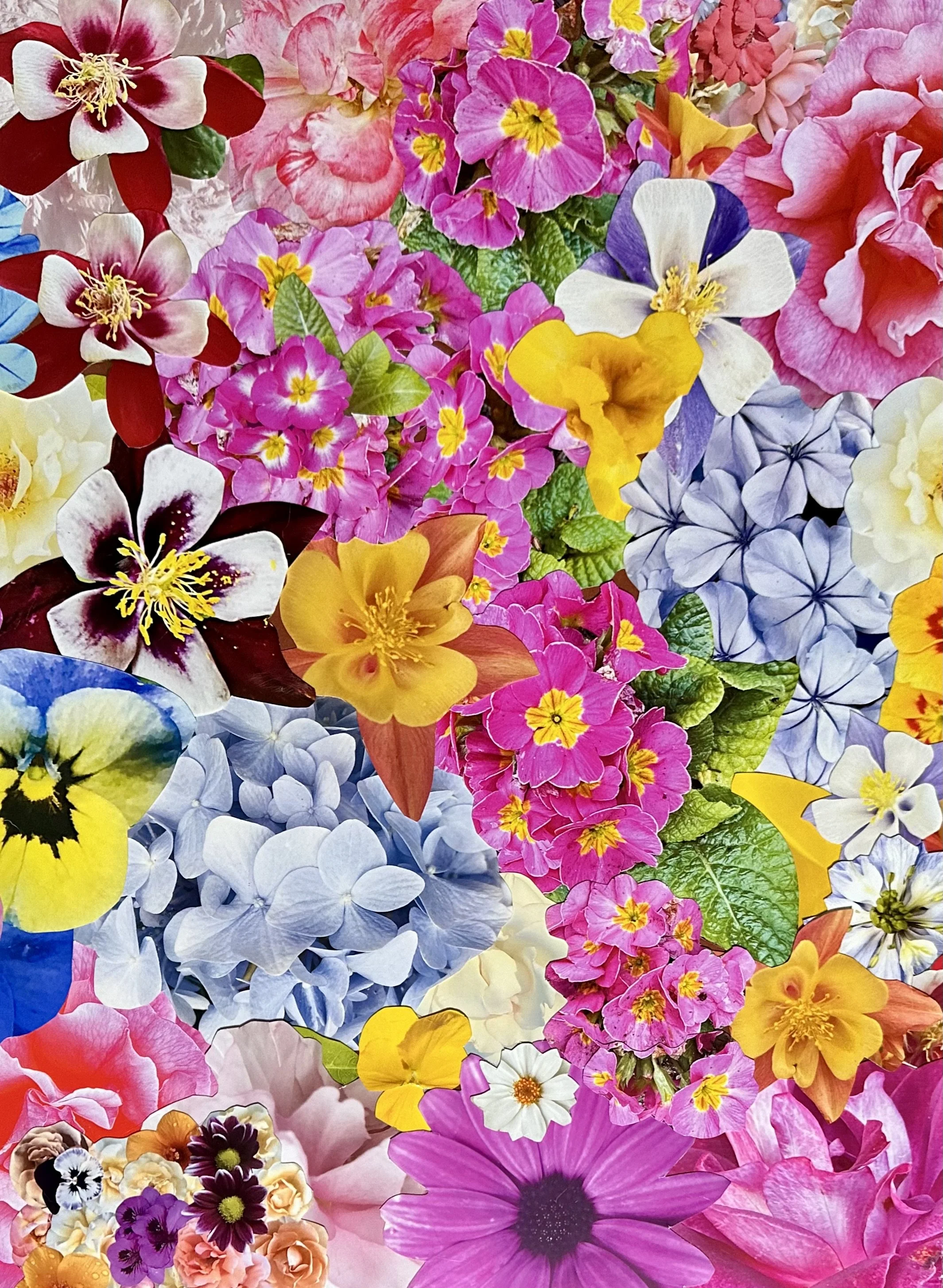 Interview with Kat Kleinman