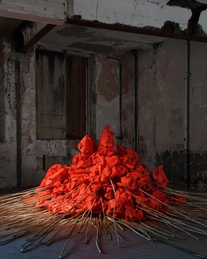 Interview with Bea Last