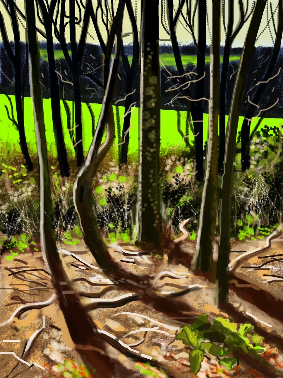 Interview with Carol Wates