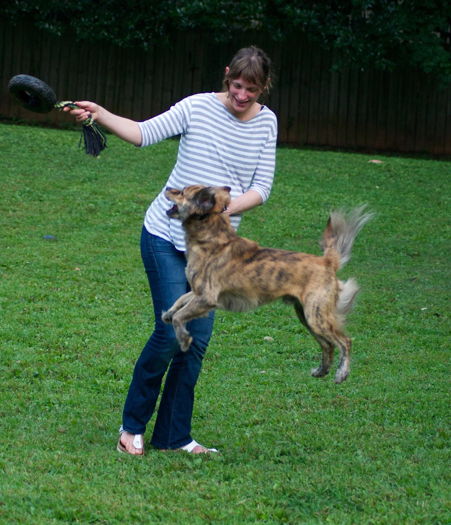 About — Ormewood Dog Yard