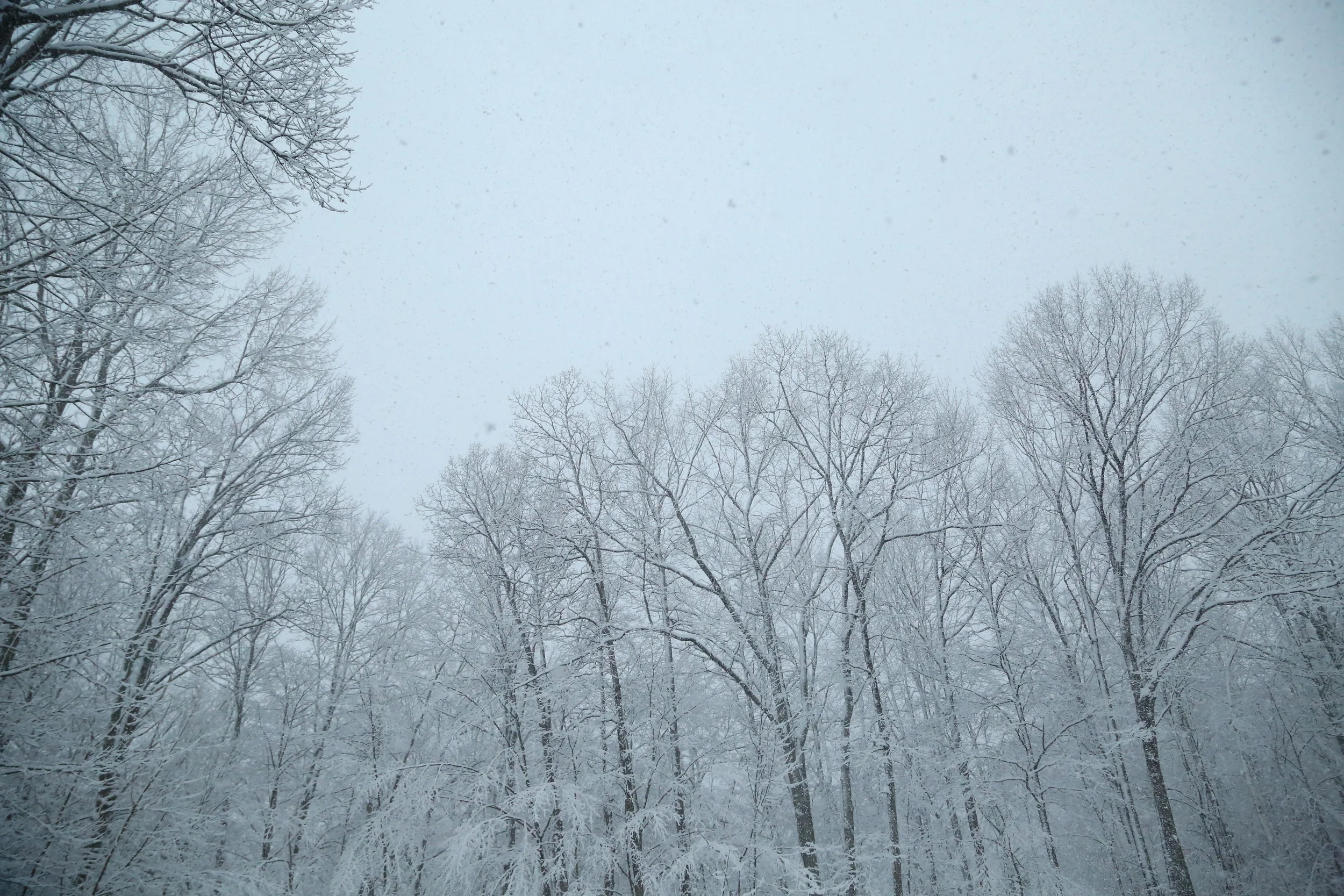 the view from the back of our house