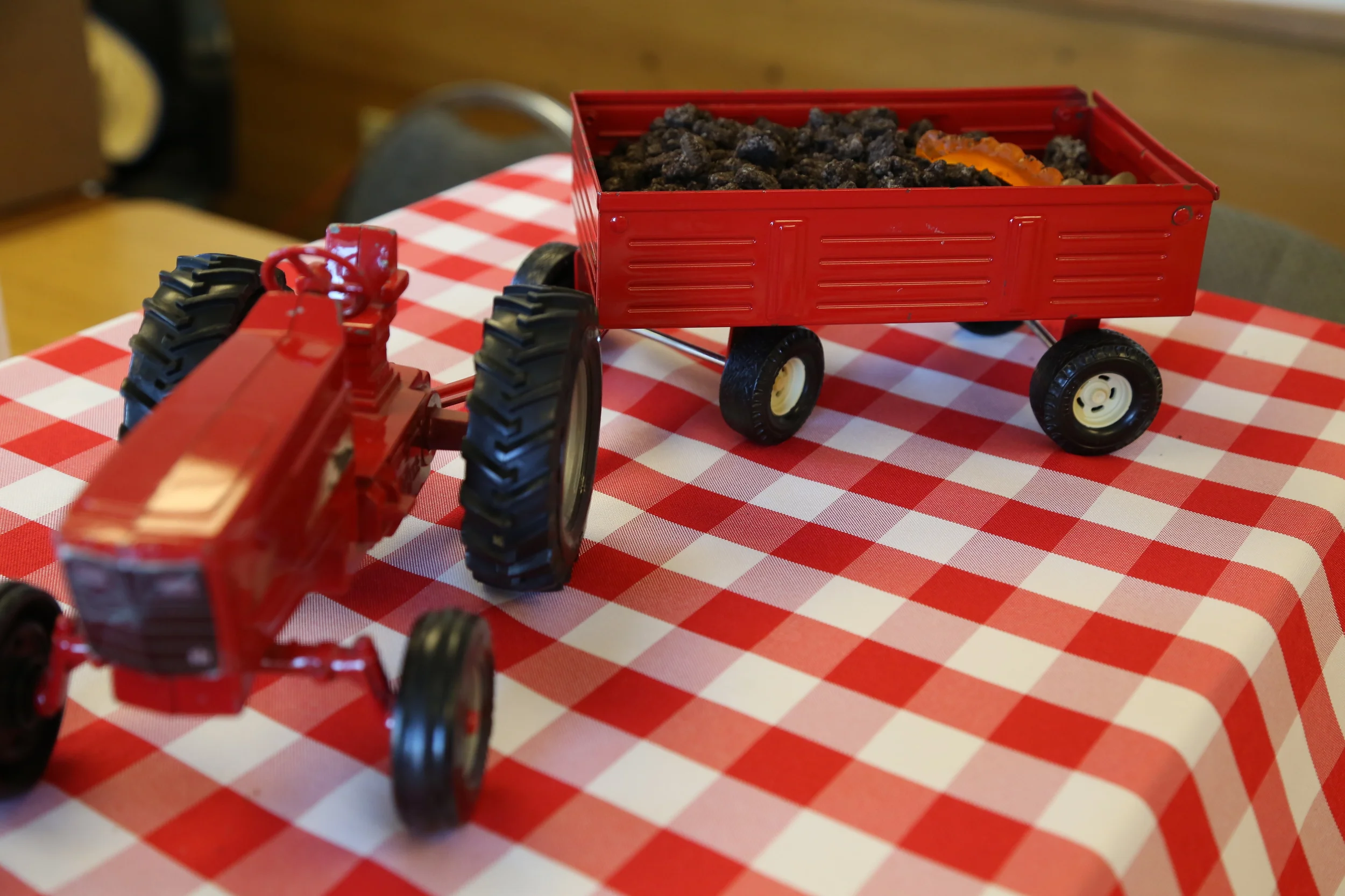 The "cake!" This is Geoff's old tractor. In the trailer is a big brownie topped with Oreo crumbs and worms. The guests had Oreo pudding cups I made and topped with Oreo crumbs and gummy worms.