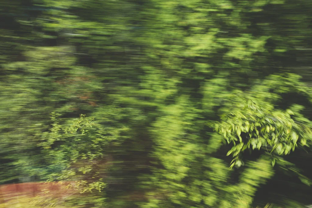 20140829-20140829EK4A3540