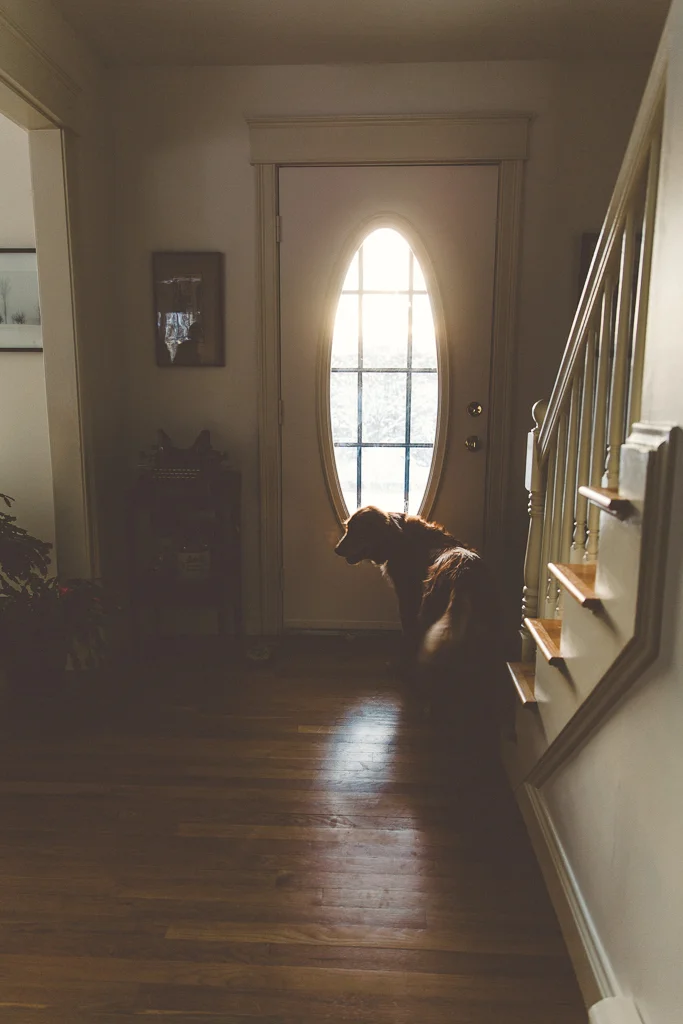 20141127-20141127EK4A4067