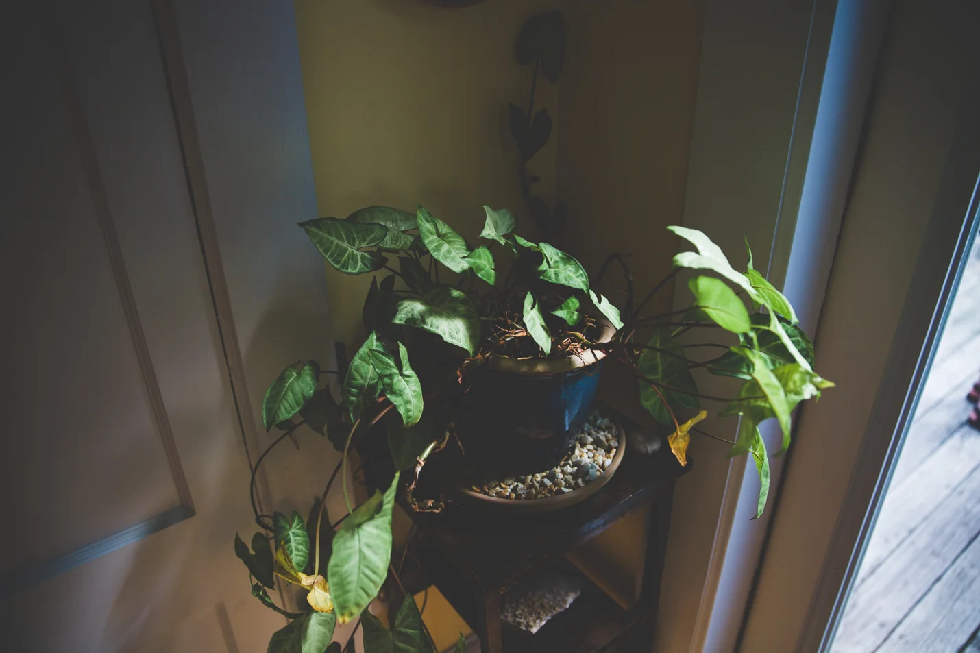 20150708EK4A1305