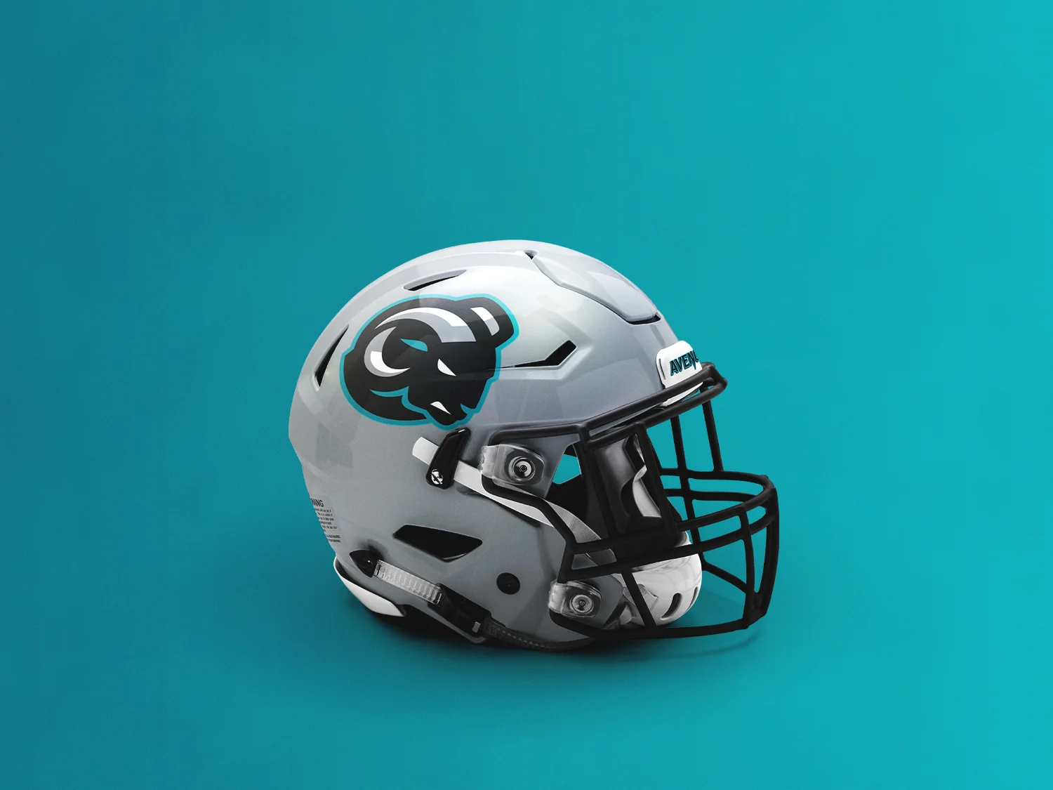 den_helmet_1500x1125.jpg