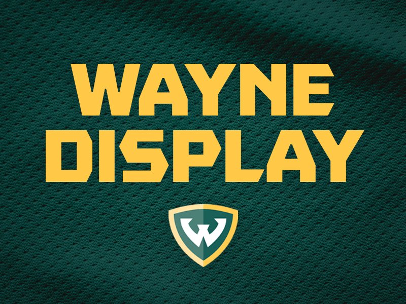 Wayne Display Font