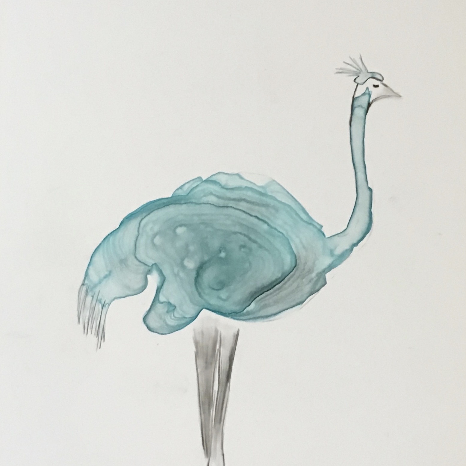 Ostrich with Hat (Copy)