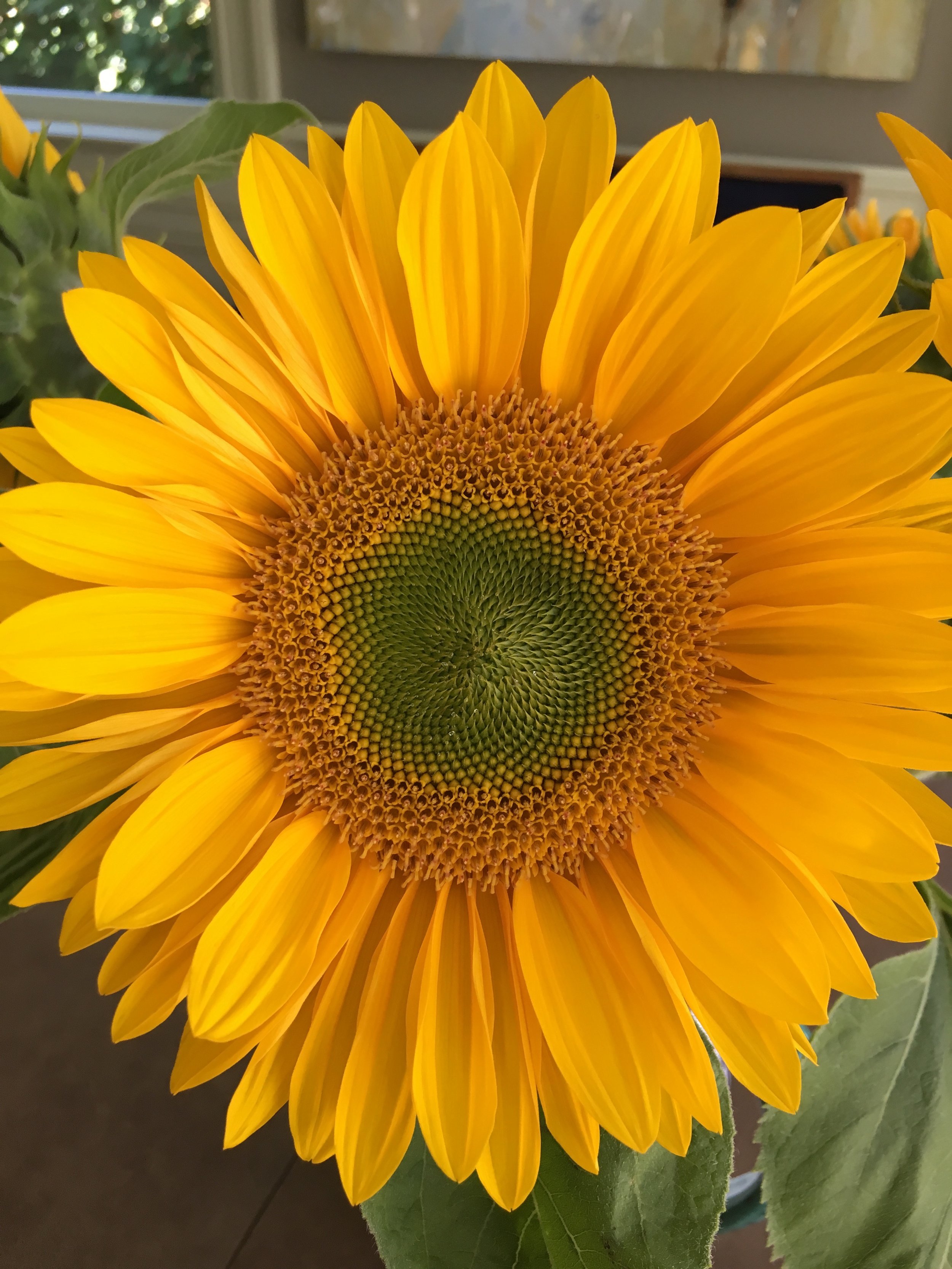Yellow Sunflower (Copy)