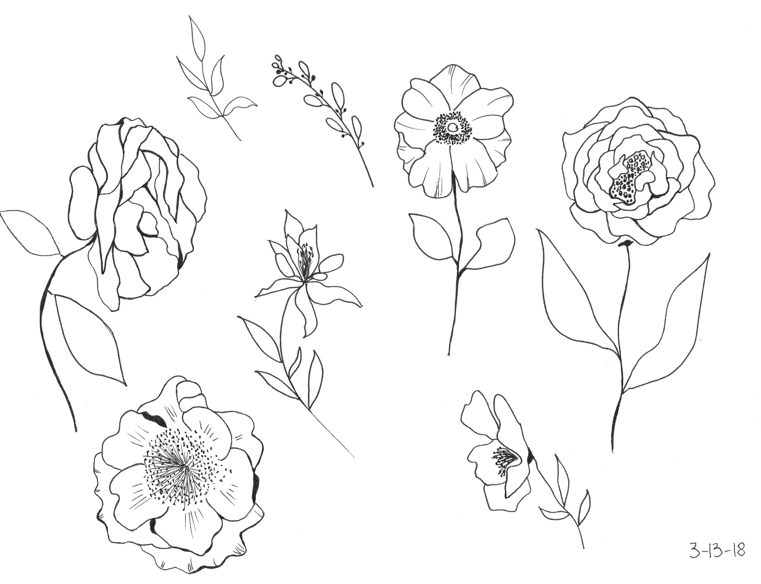 Day 72 Flower sketches.jpeg