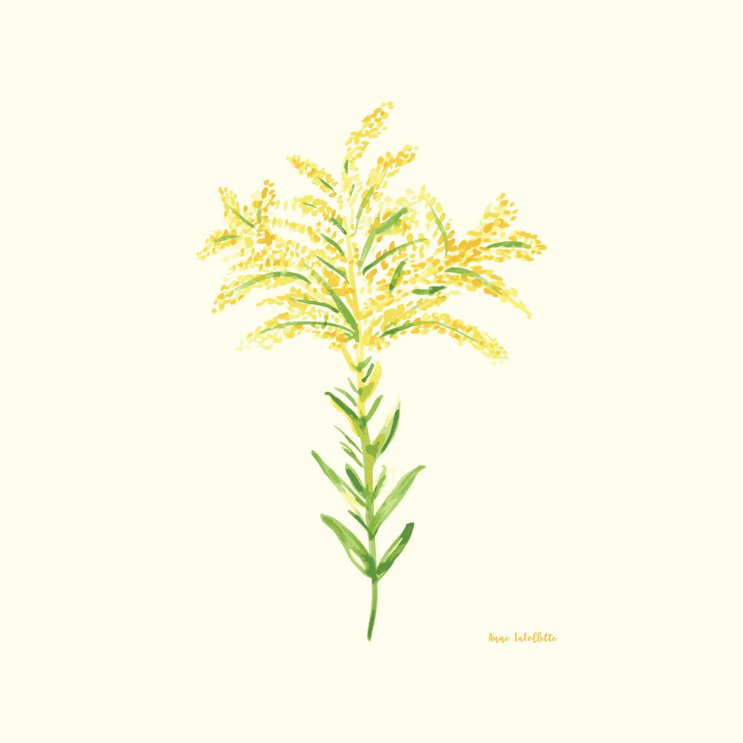 Watercolor-Goldenrod.jpg